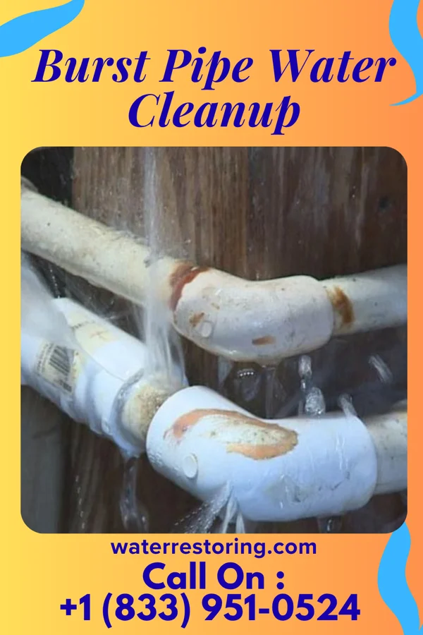Burst Pipe Water Cleanup in Waterproof, LA