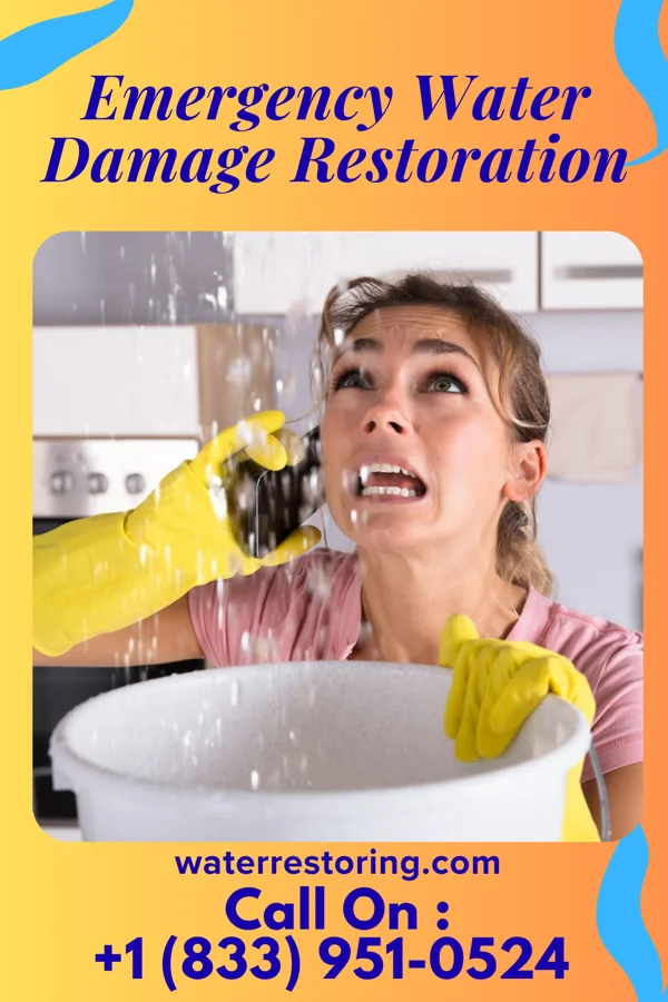 Emergency Water Damage Restoration in Waterproof, LA