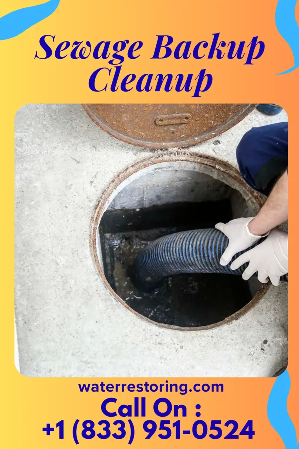 Sewage Backup Cleanup in Waterproof, LA